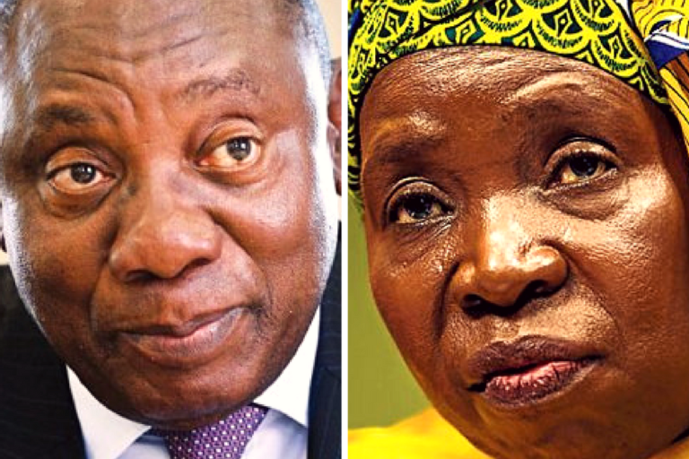 Cyril Ramaphosa (left) and Nkosazana Dlamini-Zuma (right)