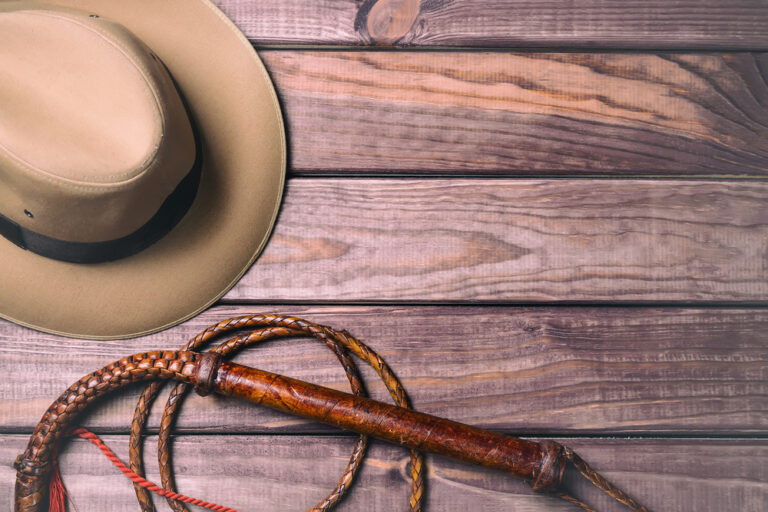 The bullwhip effect The bullwhip effect