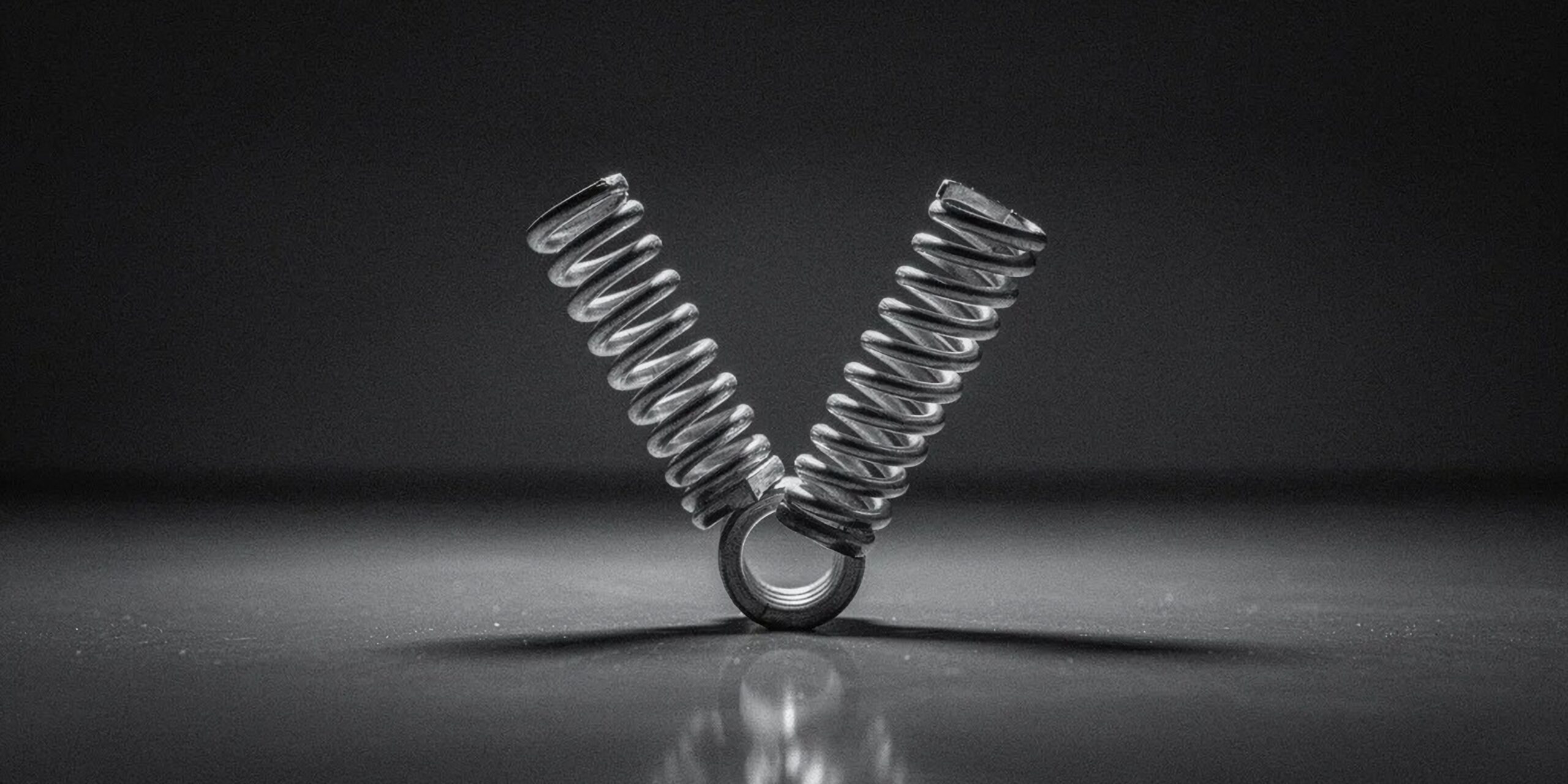 The V- shaped recovery